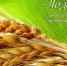 den_rabotnika_selskogo_khozyaystva_promintel-agro - Зиминский район