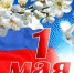 may - Зиминский район