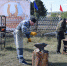 Festival - Зиминский район
