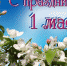 1m - Зиминский район