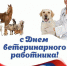 veterinar - Зиминский район