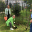 «Посади дерево – сохрани природу» - Зиминский городской суд