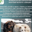associaciya - Зиминский район