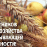 Уважаемые работники и ветераны сельского хозяйства и перерабатывающей промышленности! Поздравляем вас с профессиональным праздником! - Город Зима