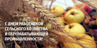 Уважаемые работники и ветераны сельского хозяйства и перерабатывающей промышленности! Поздравляем вас с профессиональным праздником! - Город Зима