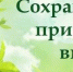 prokuratura - Зиминский район